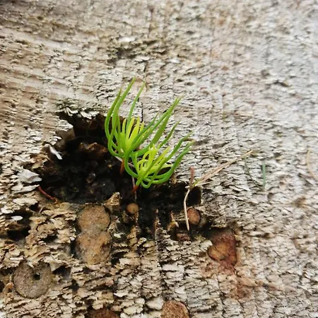 Hébergement de vacances 